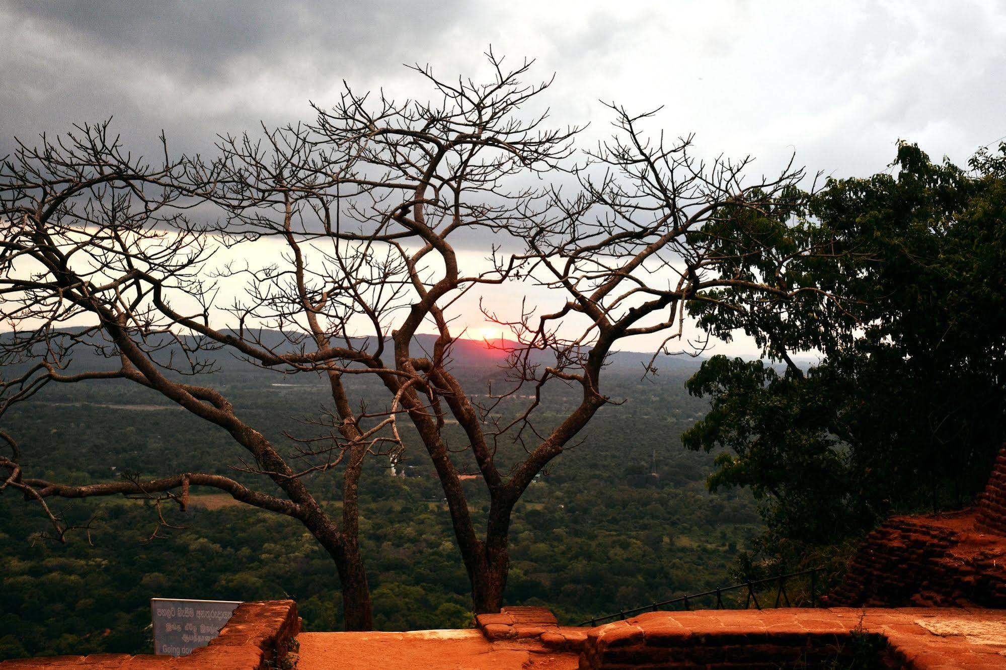Cassandra Culture Resort Sigiriya Exterior foto